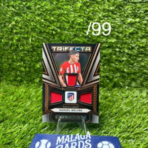 Nahuel Molina - Panini Obsidian 2023-24 - Trifecta Patch /99