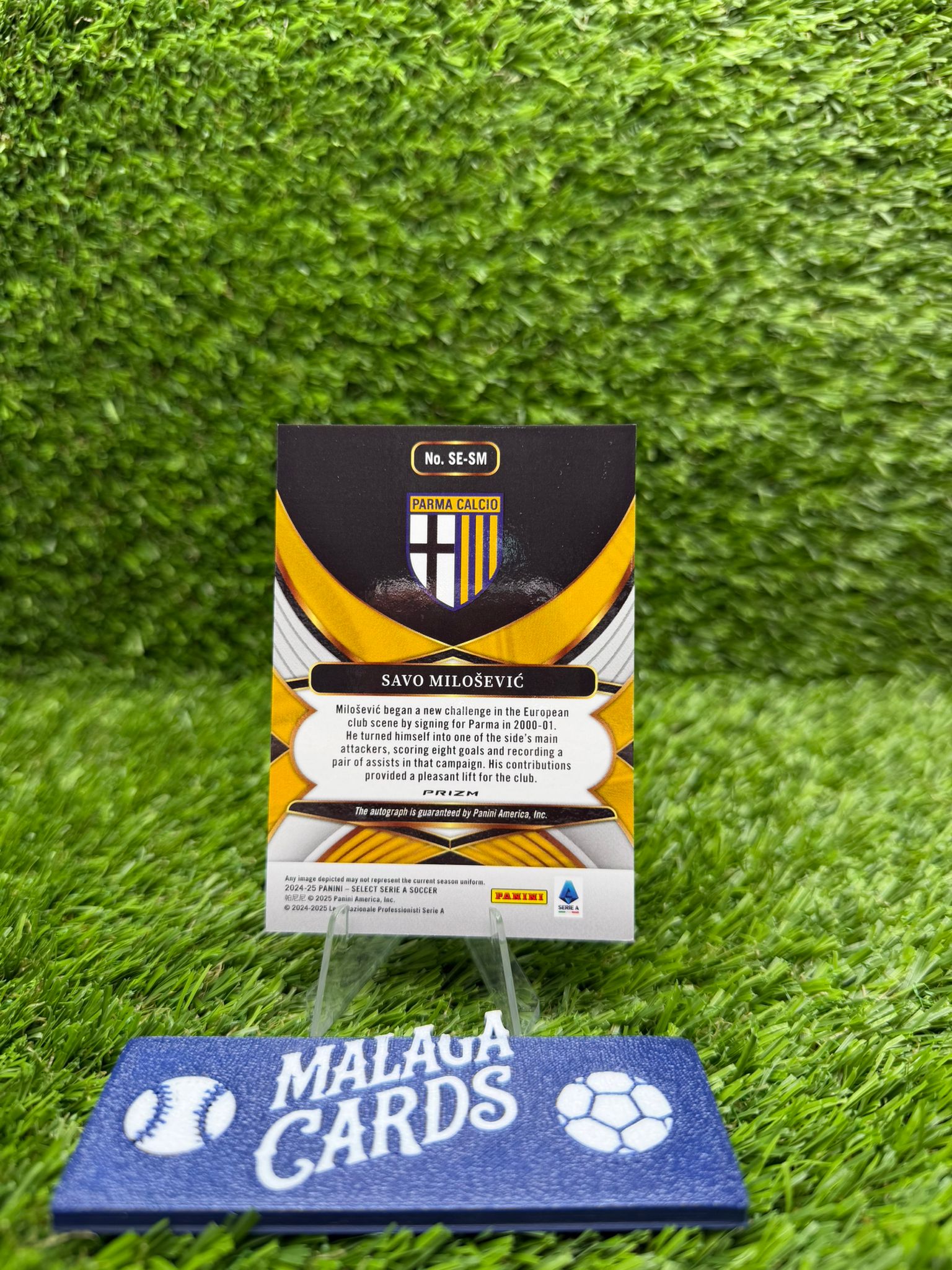 Savo Milošević – Panini Select 2024-25 – Autograph - Imagen 2